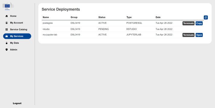 Screenshot of BDTI's portal to show the section my services: deployments